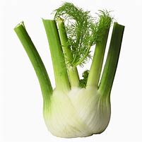 Fennel Go Naked Veg