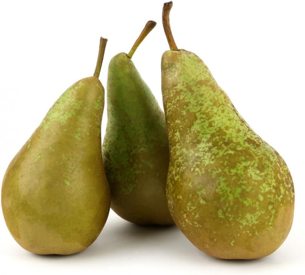 Conference Pears GO NAKED VEG